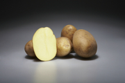 Немецкий семенной картофель