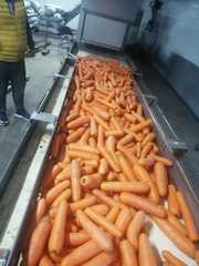 Мытая морковь 